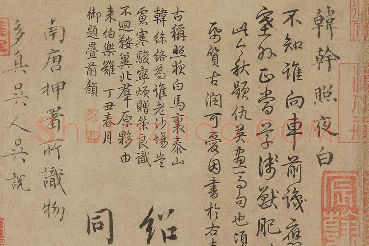 韩干《照夜白图》高清大图局部 (5)