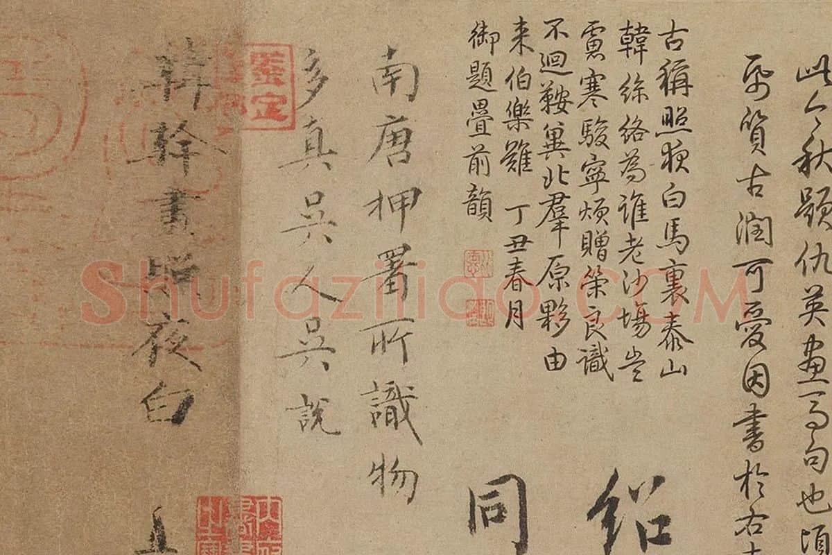 韩干《照夜白图》高清大图局部 (6)