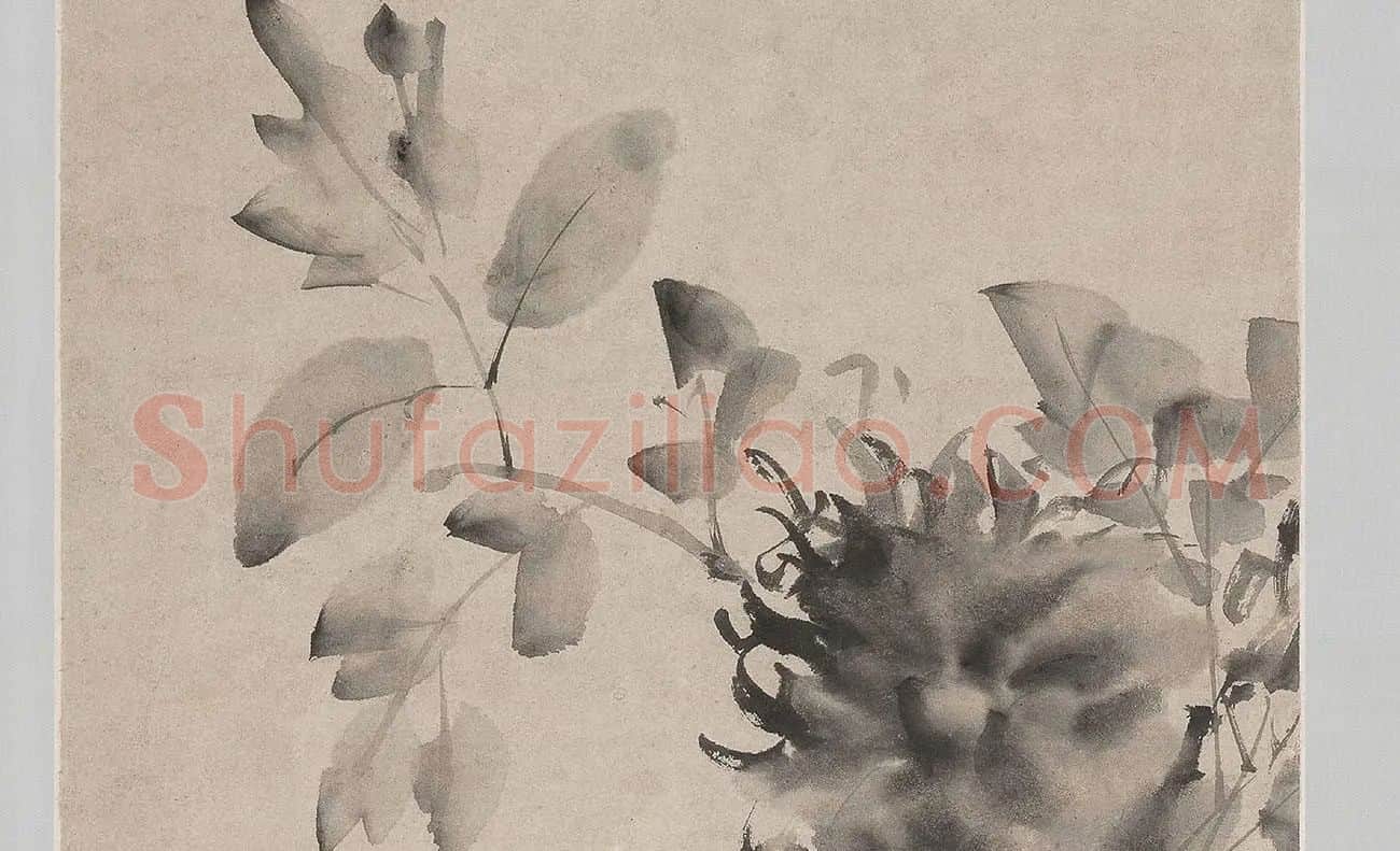 徐渭水墨画牡丹_03