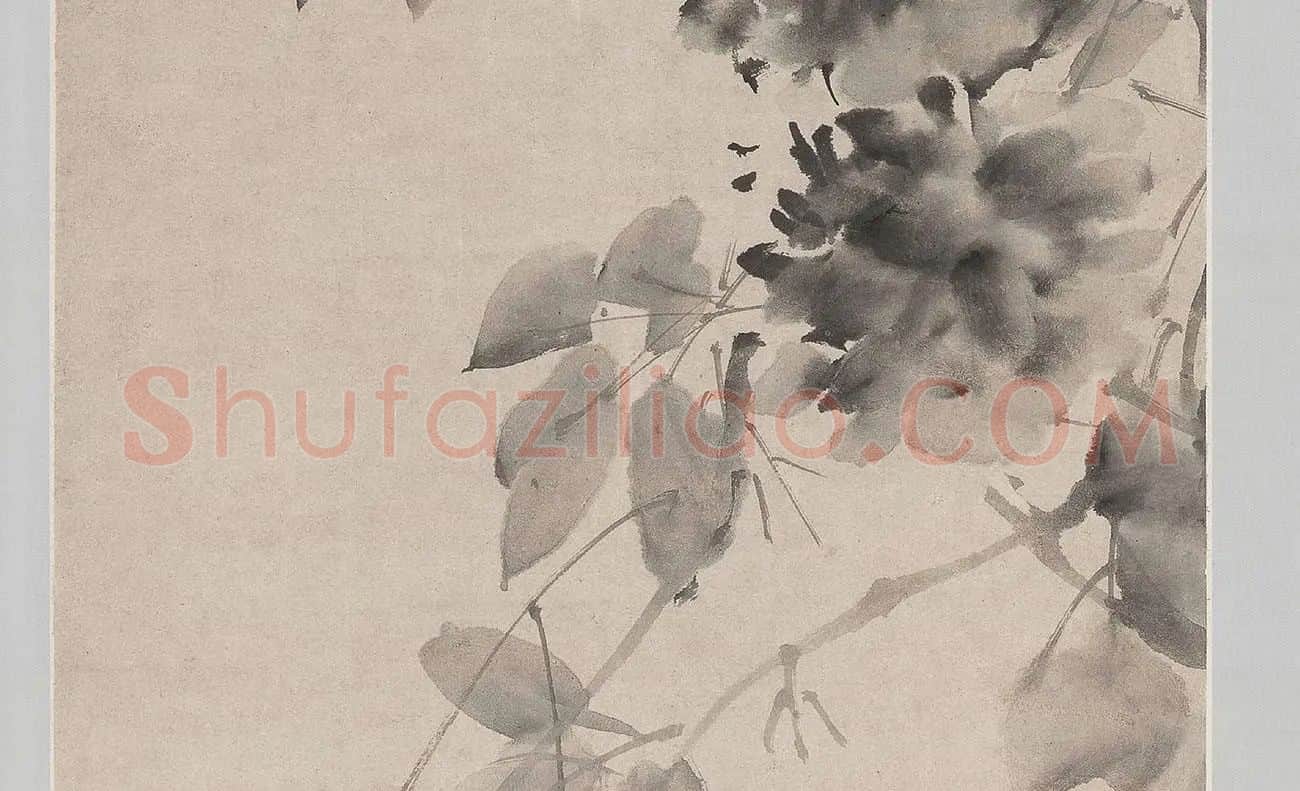 徐渭水墨画牡丹_04