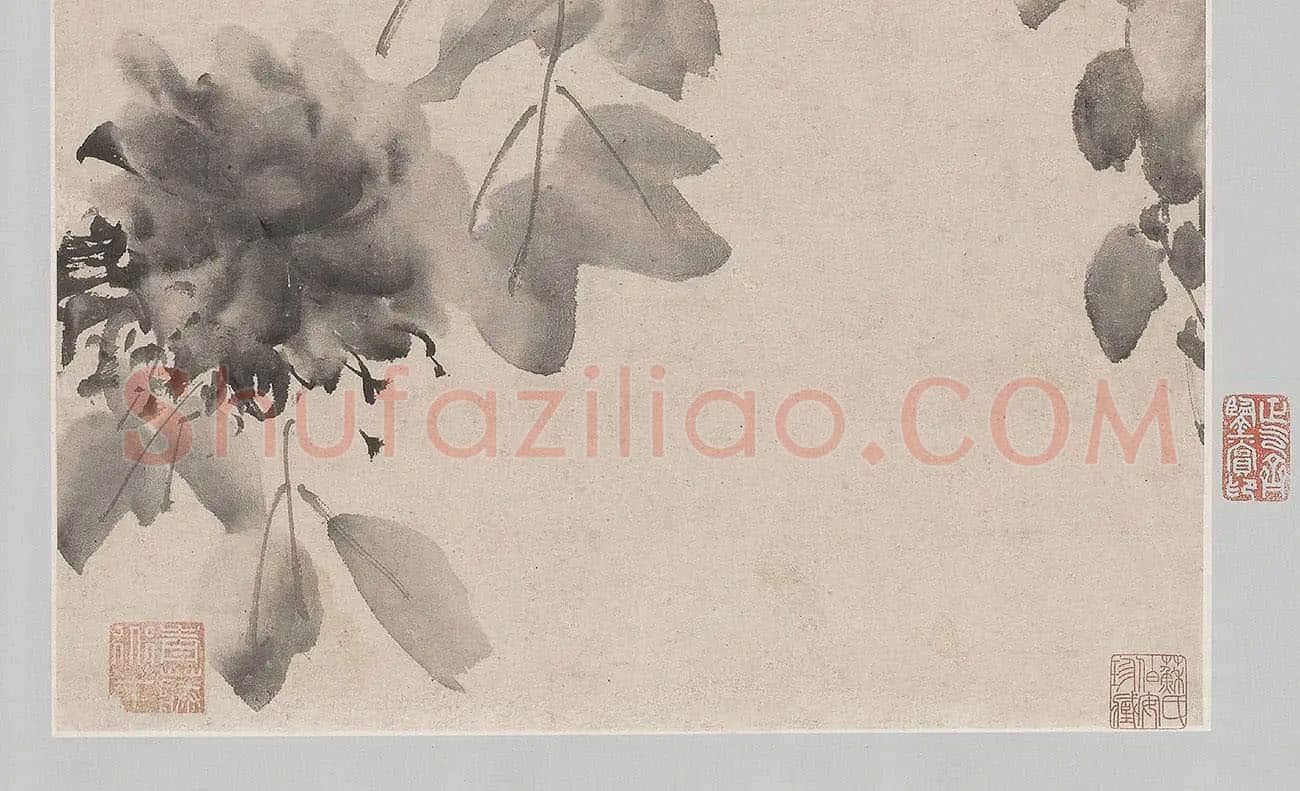 徐渭水墨画牡丹_05