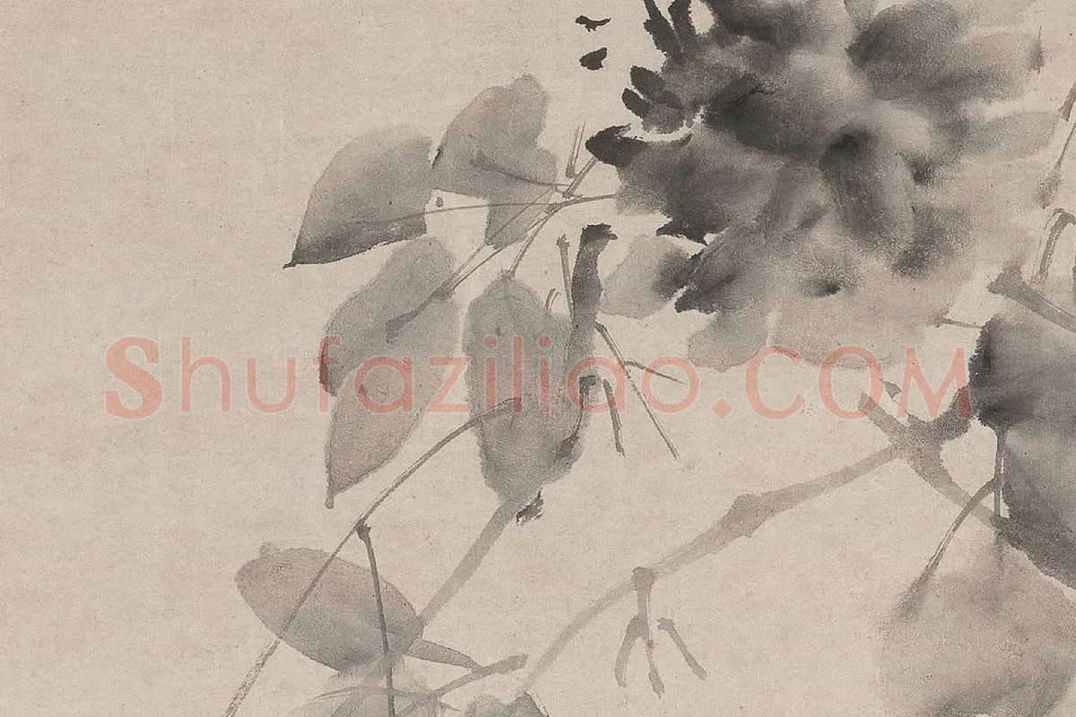 徐渭《水墨牡丹图》局部 (2)