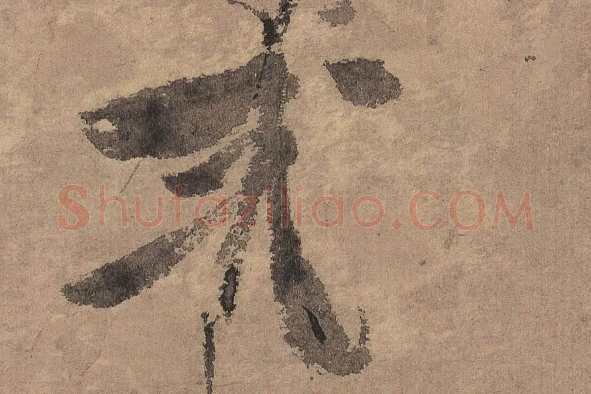 徐渭水墨写意《榴实图》高清大图局部细节 (4)