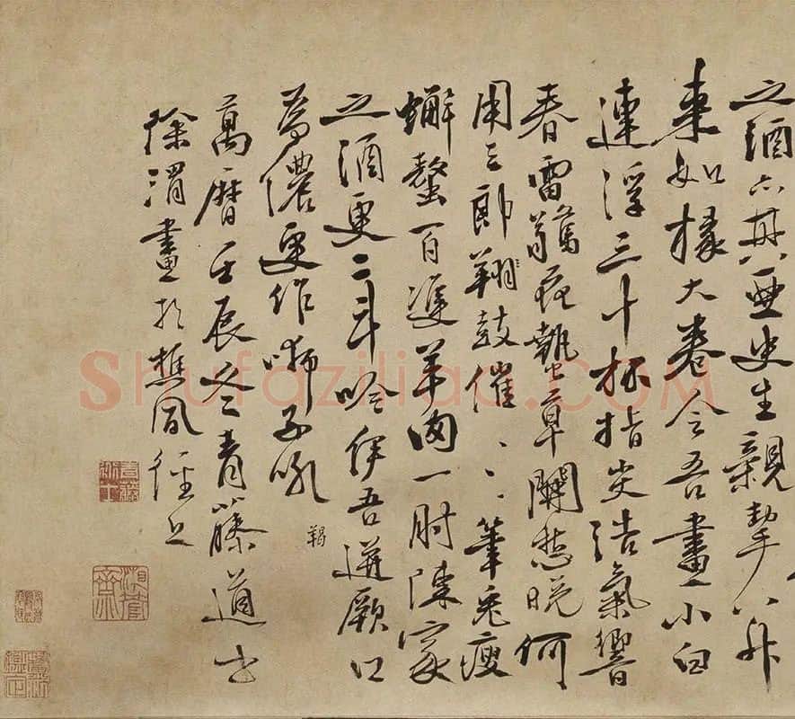 徐渭水墨花卉《墨花九段图卷》_01