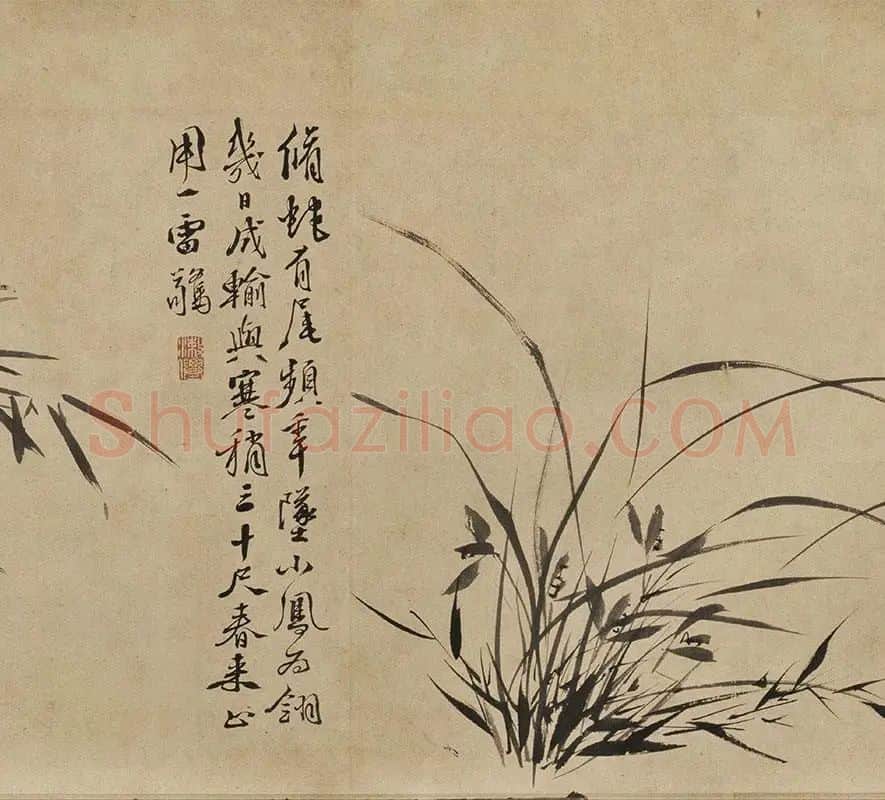 徐渭水墨花卉《墨花九段图卷》_03
