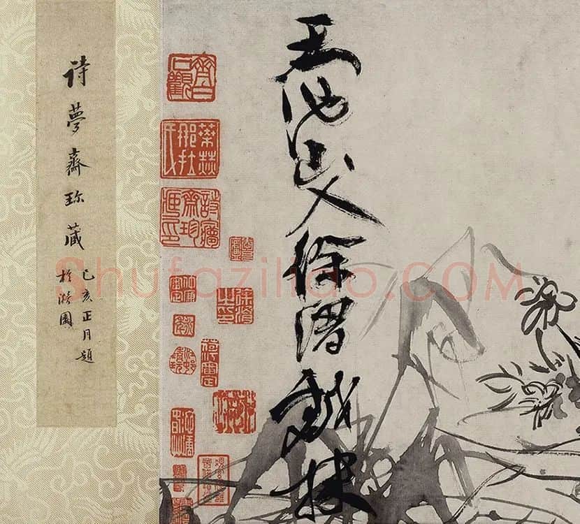 徐渭水墨花卉画《杂花图》_01