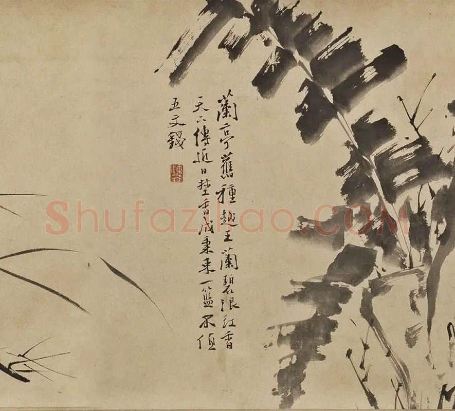 徐渭水墨花卉《墨花九段图卷》_04