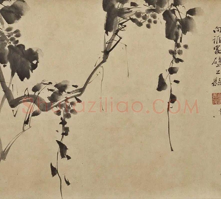徐渭水墨花卉《墨花九段图卷》_06