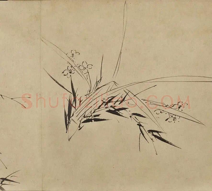徐渭水墨花卉《墨花九段图卷》_08