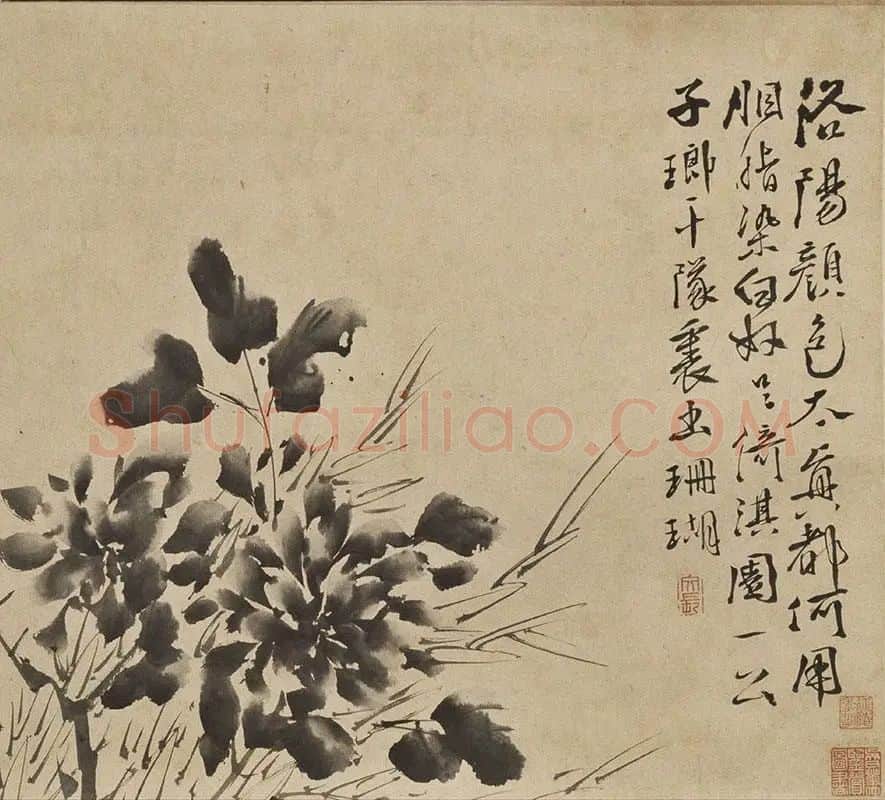 徐渭水墨花卉《墨花九段图卷》_12
