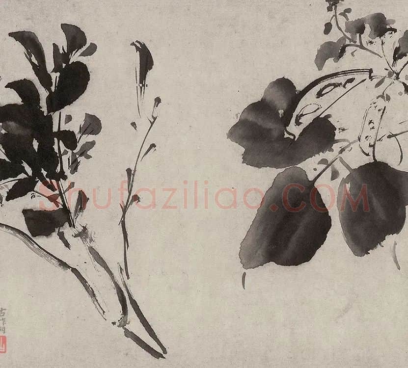 徐渭水墨花卉画《杂花图》_16