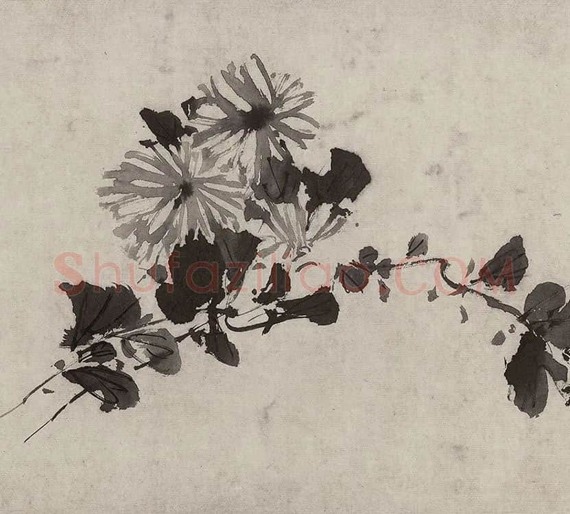 徐渭水墨花卉画《杂花图》_19