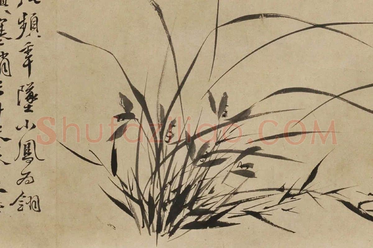 徐渭水墨花卉《墨花九段图》局部 (9)