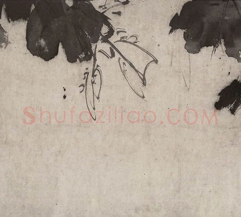 徐渭水墨花卉画《杂花图》_25