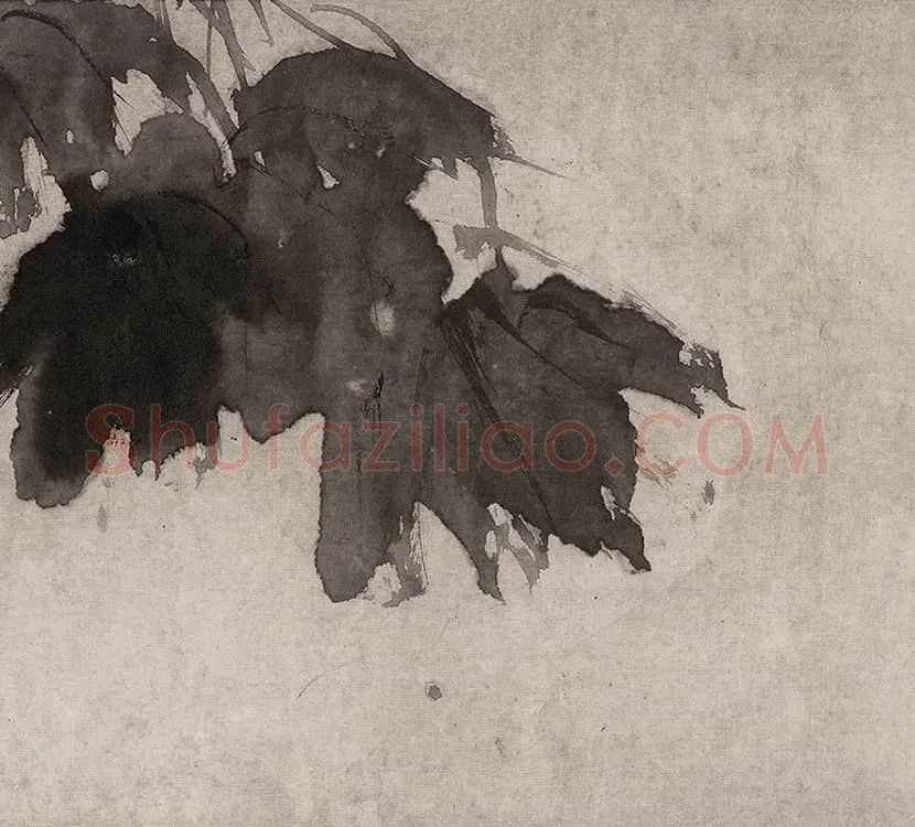 徐渭水墨花卉画《杂花图》_26