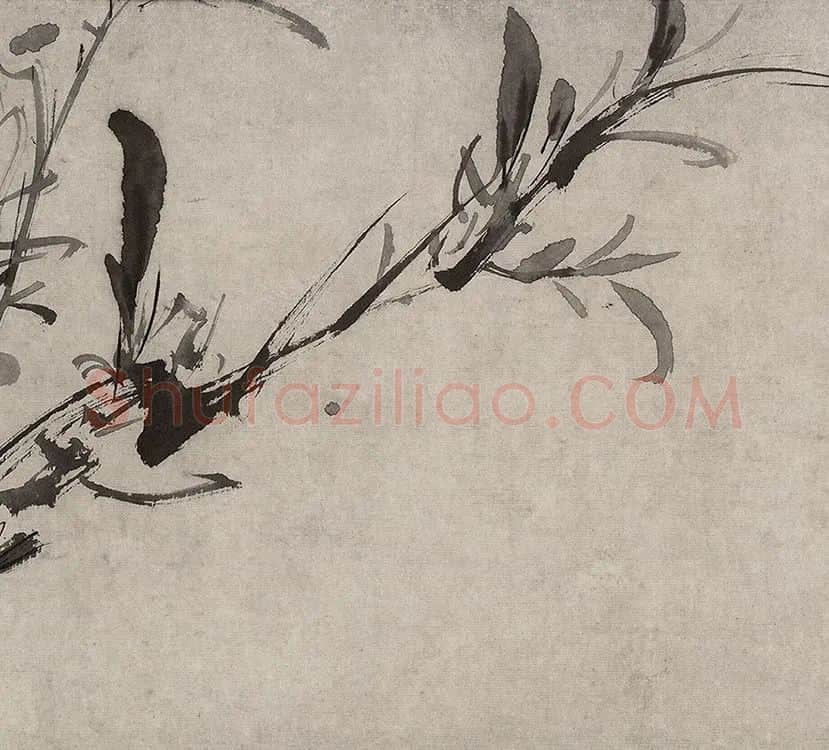 徐渭水墨花卉画《杂花图》_30