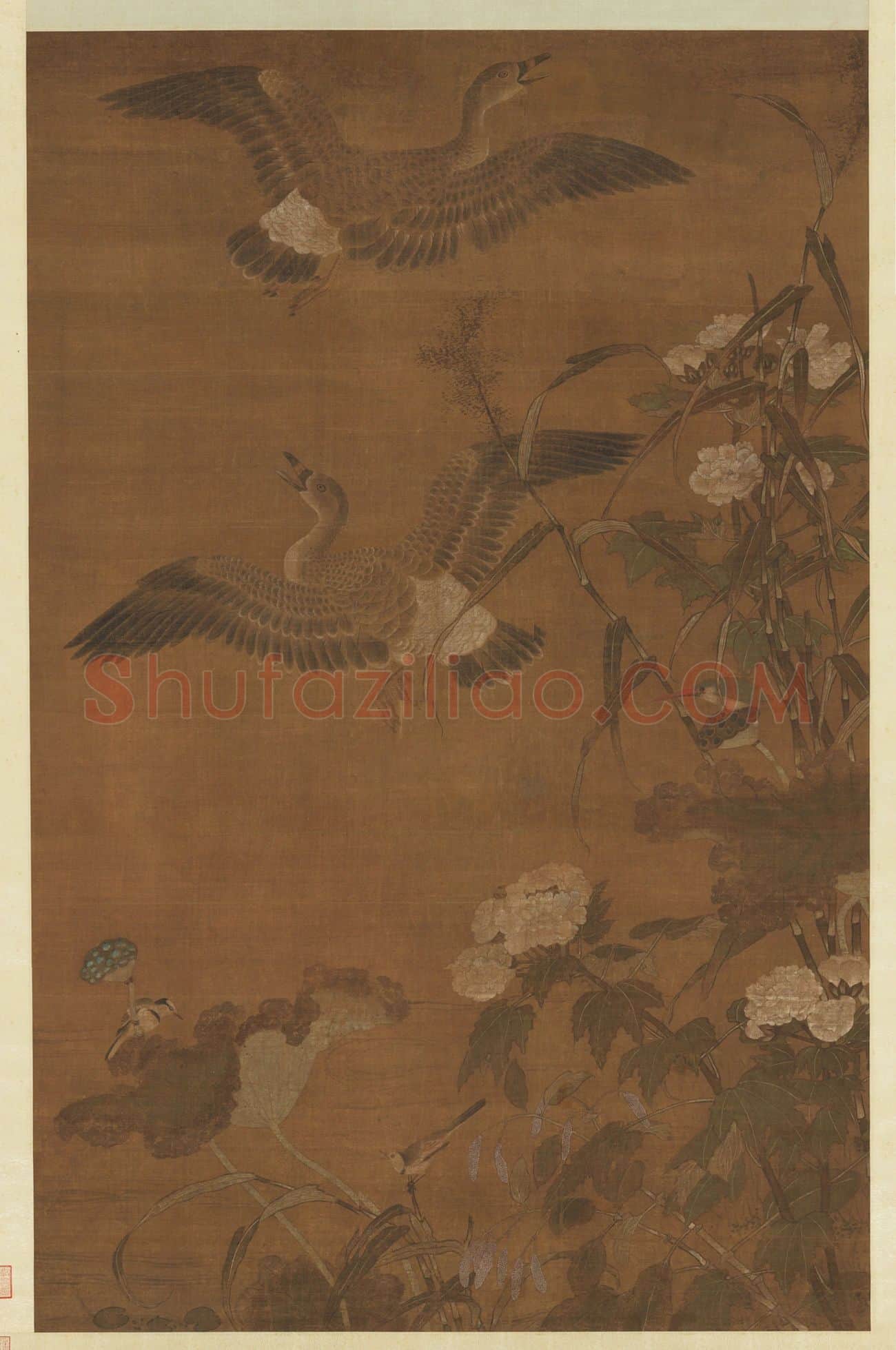 崔白花鸟画《秋浦蓉宾图》高清图片