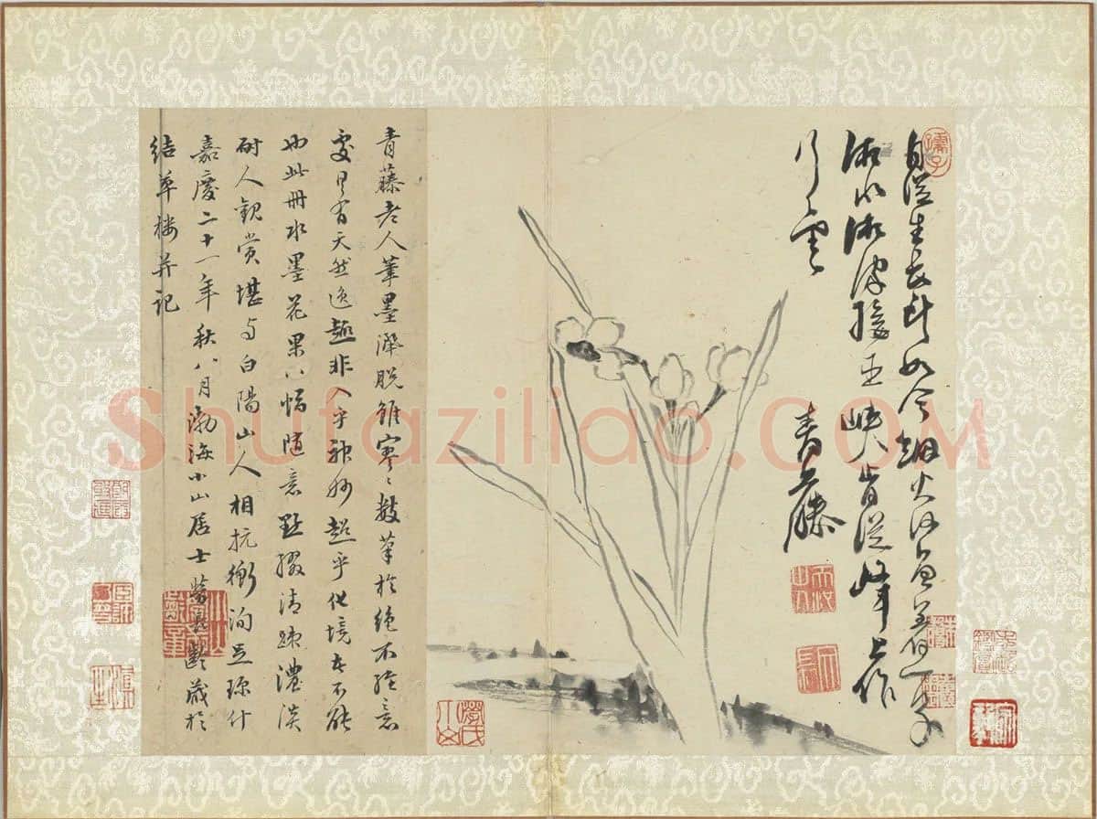 徐渭《水墨画水仙》页
