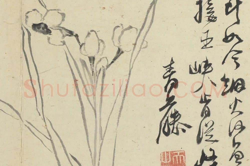 徐渭《水墨画水仙页》局部 (2)