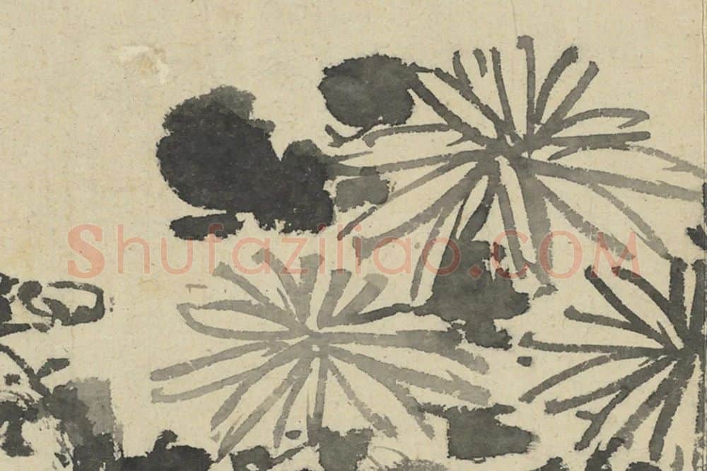 徐渭《水墨画菊》局部 (1)