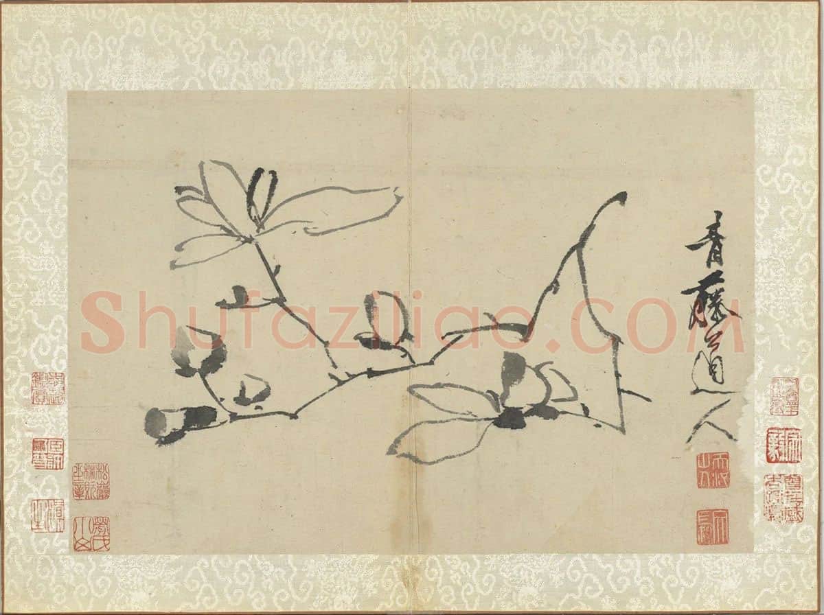 水墨国画木兰花《徐渭水墨画辛夷》