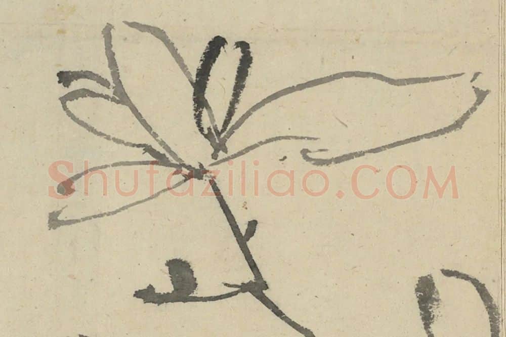 徐渭《水墨画辛夷》局部 (1)