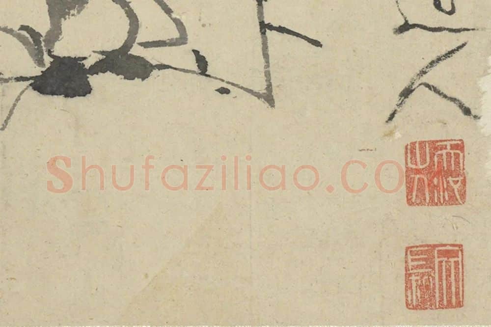 徐渭《水墨画辛夷》局部 (2)
