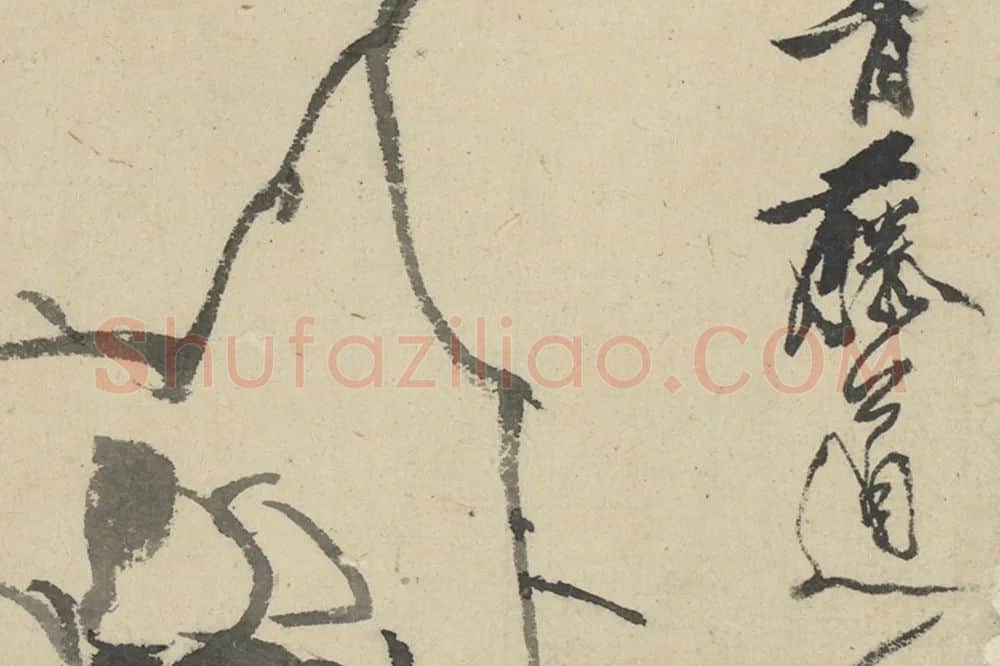 徐渭《水墨画辛夷》 局部 (3)