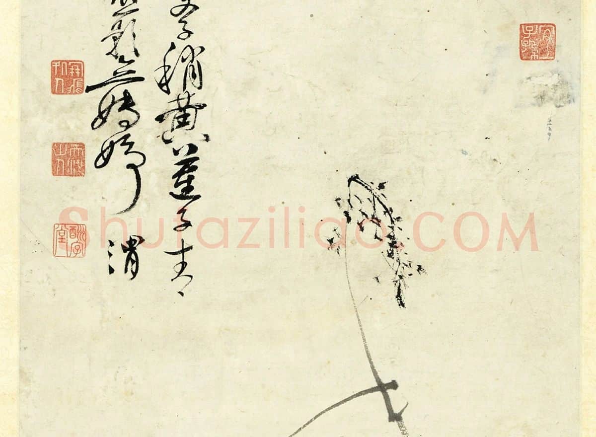 徐渭水墨画《荷花》_02
