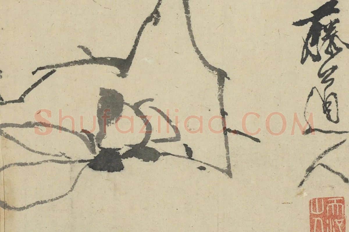 徐渭写意水墨花卉册局部 (1)