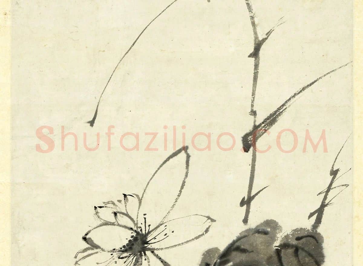 徐渭水墨画《荷花》_03