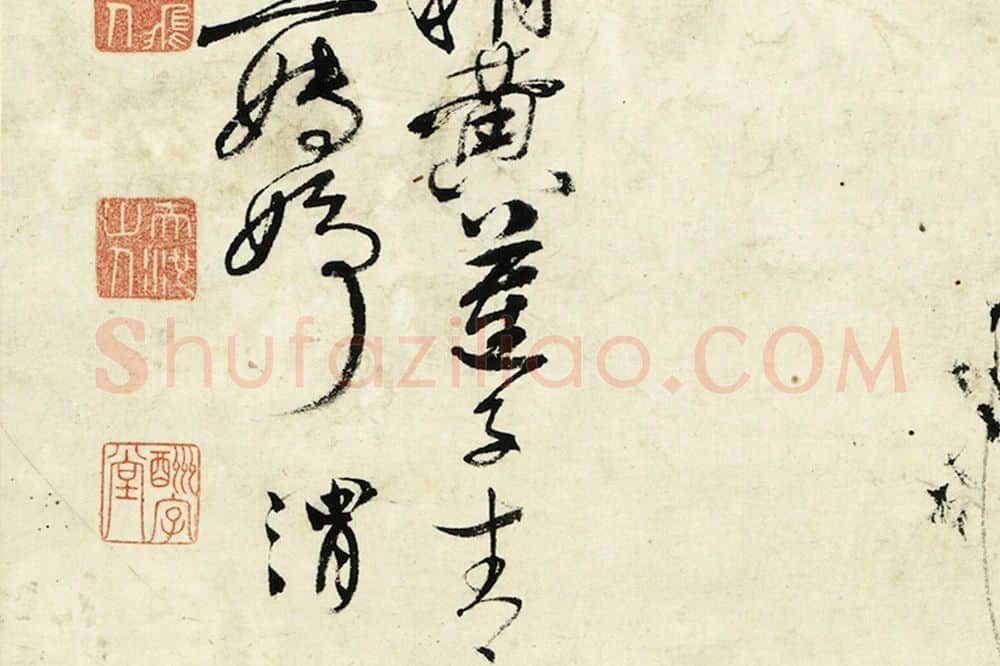 徐渭水墨画《荷花》局部 (1)