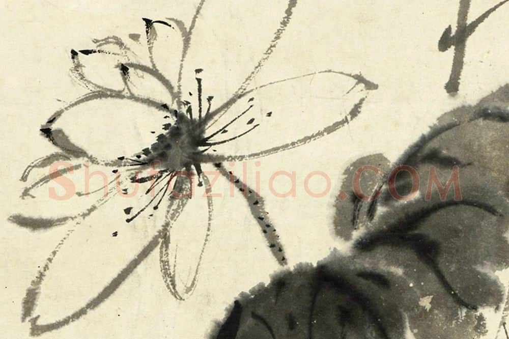 徐渭水墨画《荷花》局部 (2)