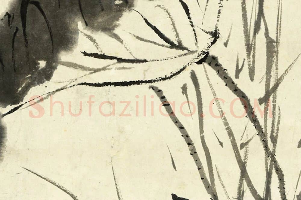 徐渭水墨画《荷花》局部 (3)