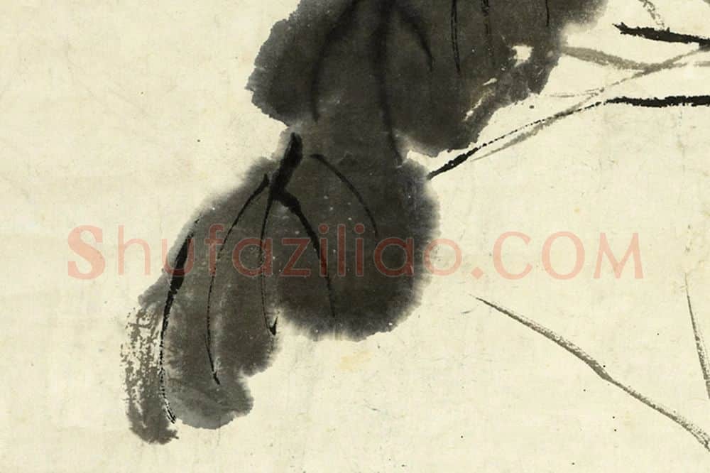 徐渭水墨画《荷花》局部 (4)