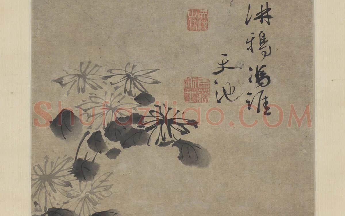 徐渭水墨画菊石_03