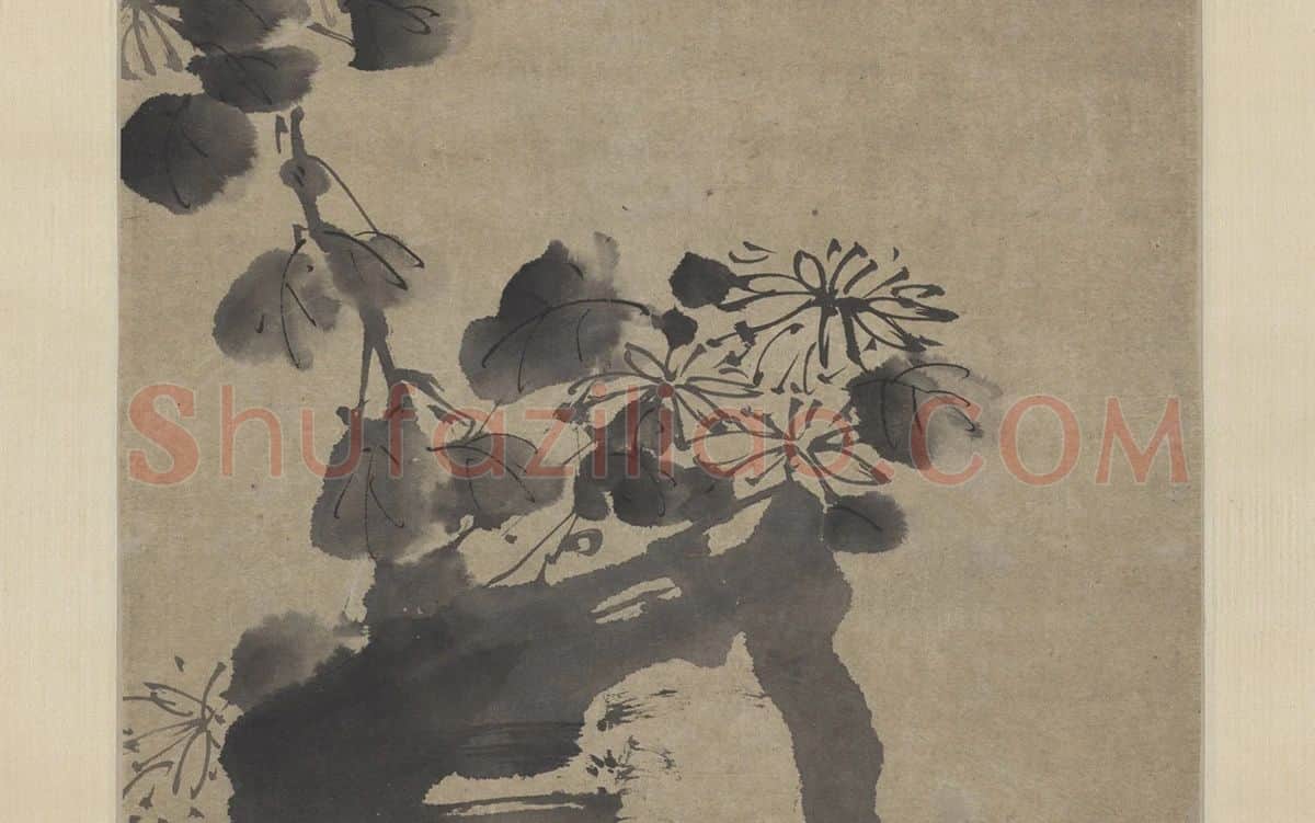 徐渭水墨画菊石_04