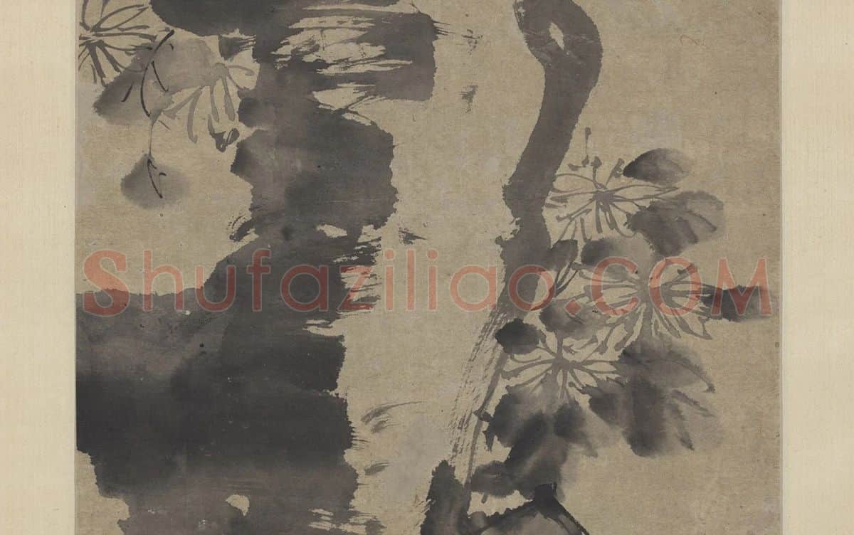徐渭水墨画菊石_05