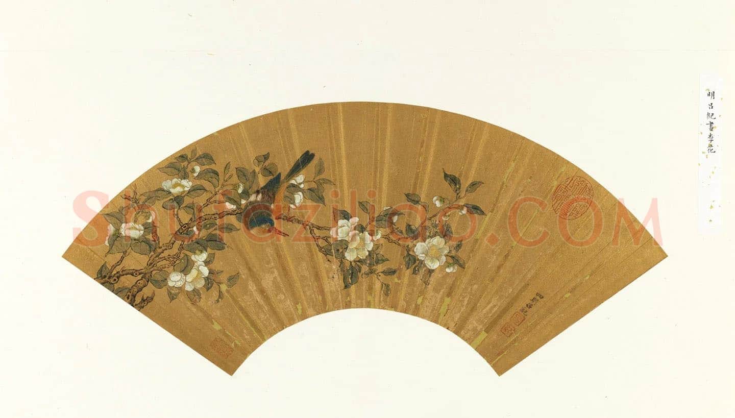 吕纪《画李花》扇面页