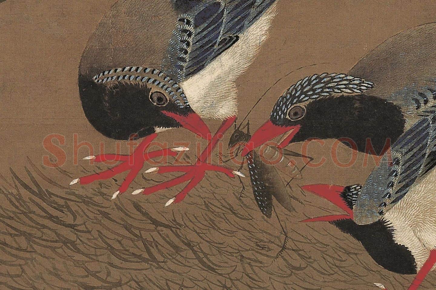 吕纪工笔重彩花鸟画《桂菊山禽图》高清大图局部 (7)