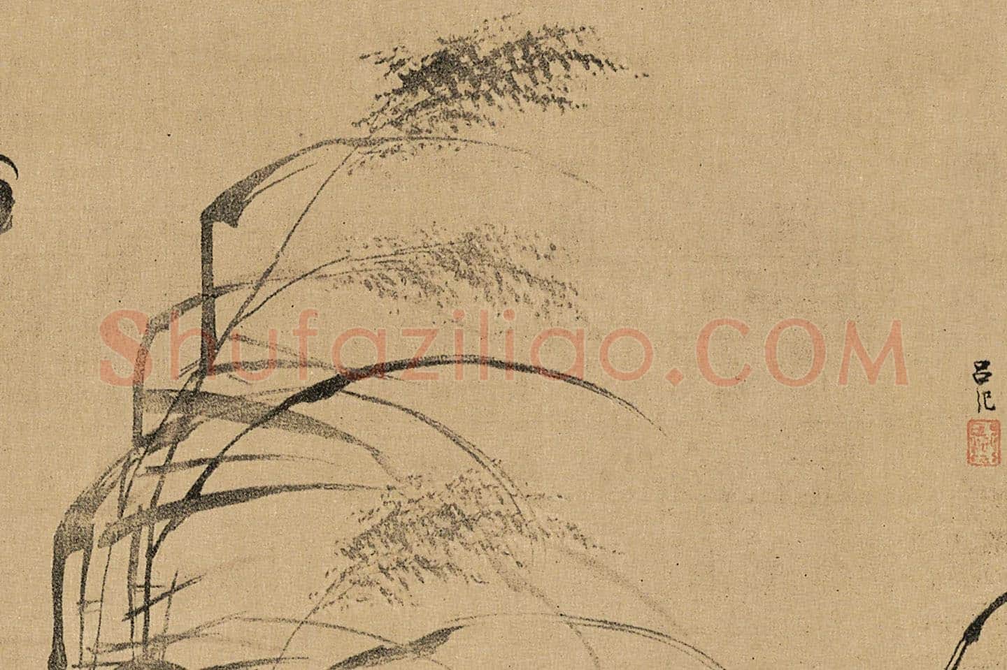 吕纪水墨花鸟《残荷鹰鹭图》局部 (2)