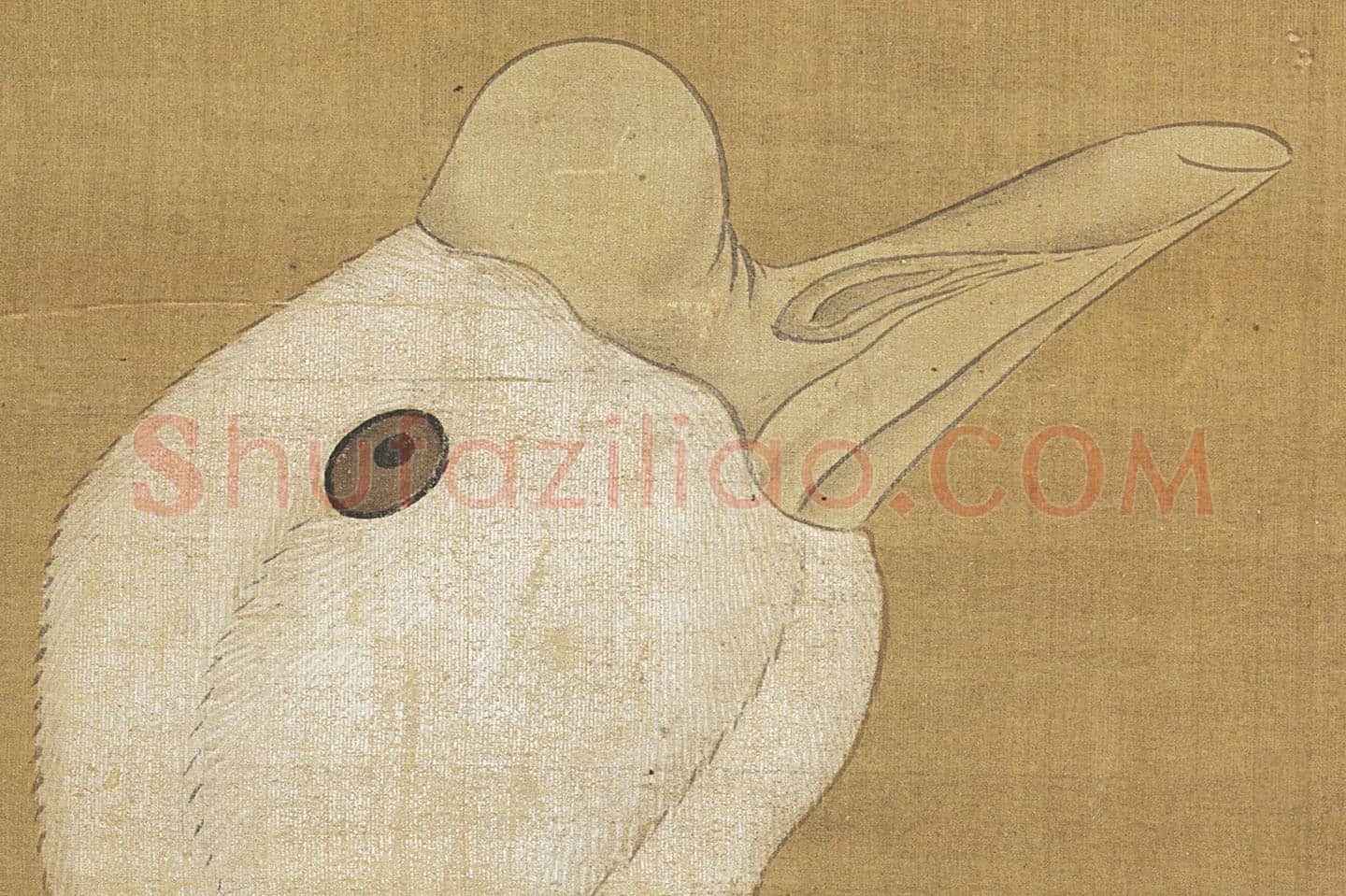 明·吕纪《狮头鹅图》高清大图局部 (1)
