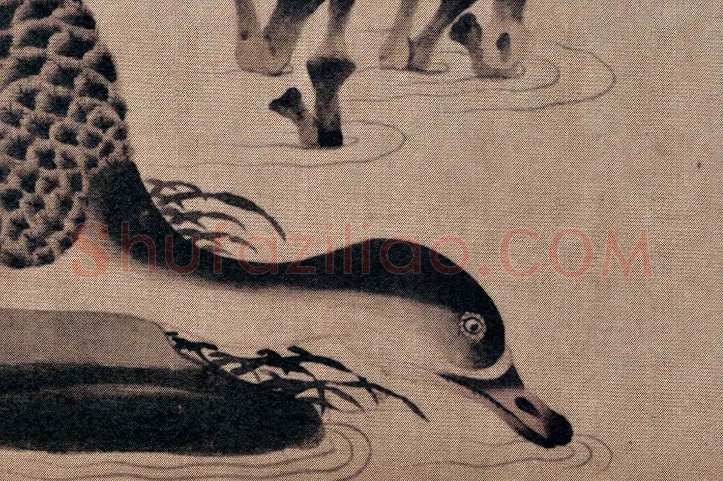 宋徽宗赵佶《柳鸦芦雁图》高清大图局部 (5)