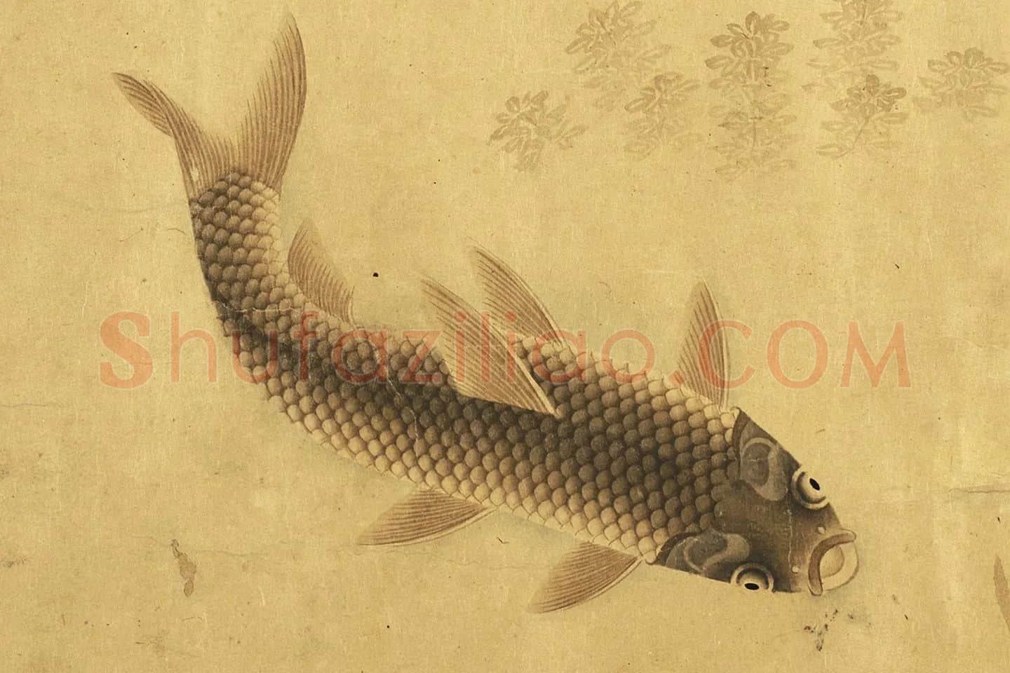 刘寀画鱼《群鱼戏荇卷》局部 (1)