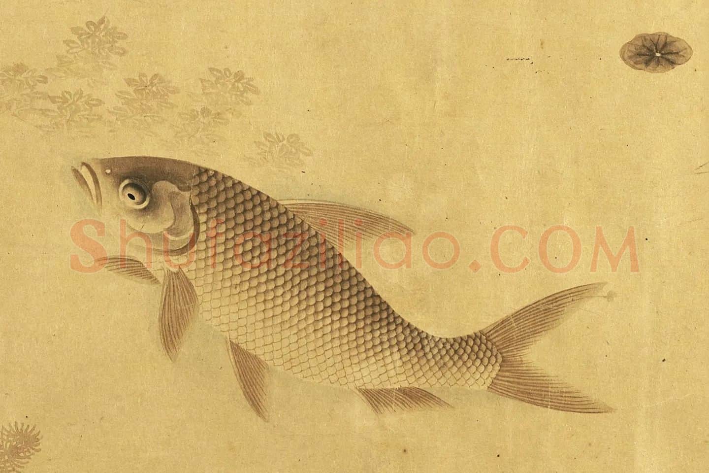 刘寀画鱼《群鱼戏荇卷》局部 (3)