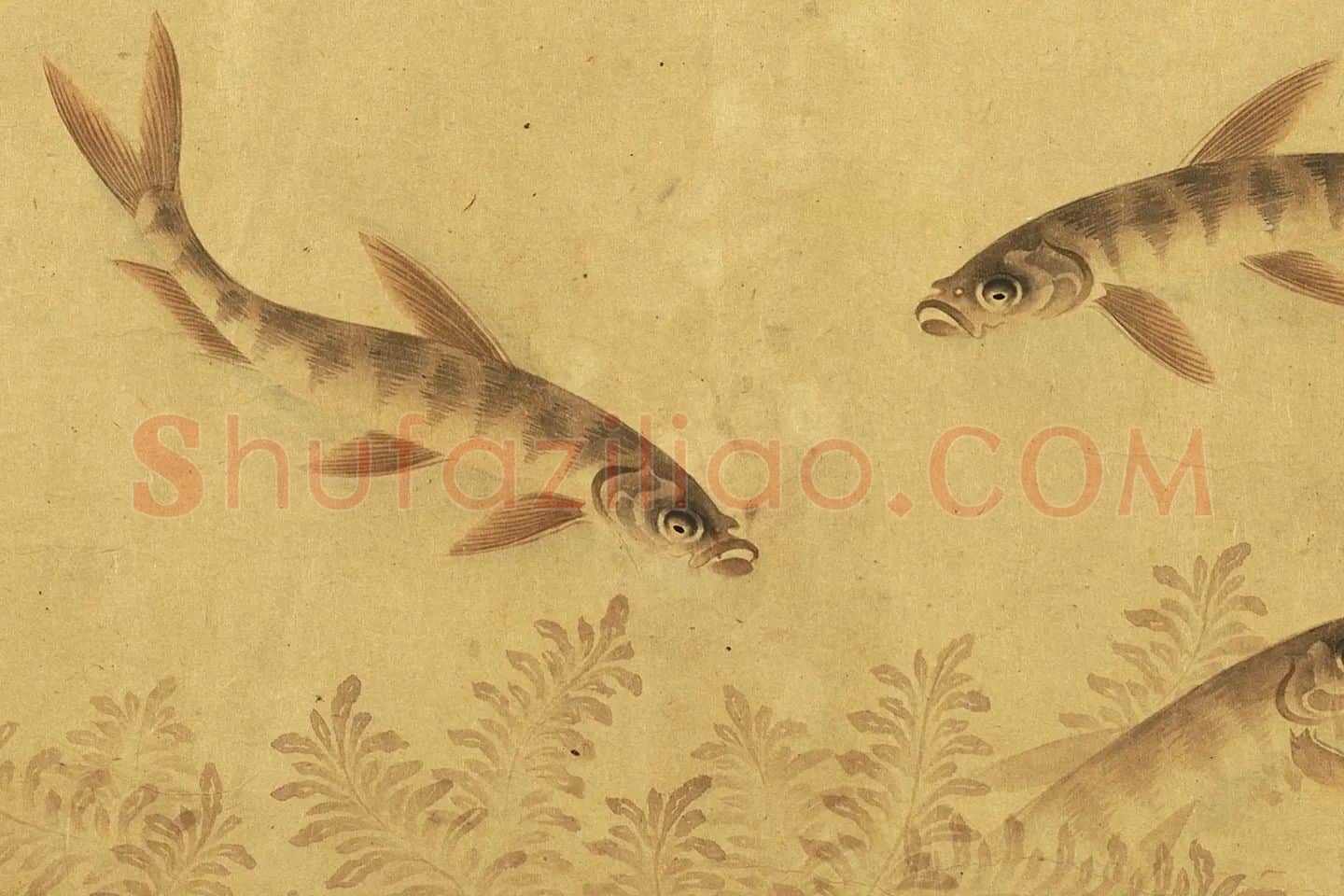 刘寀画鱼《群鱼戏荇卷》局部 (4)