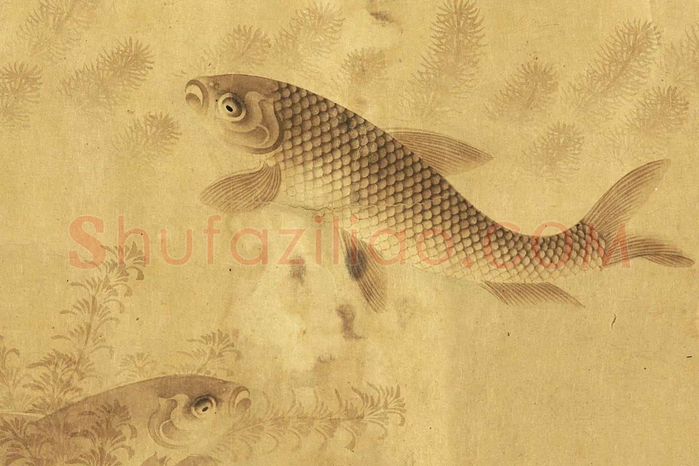 刘寀画鱼《群鱼戏荇卷》局部 (6)