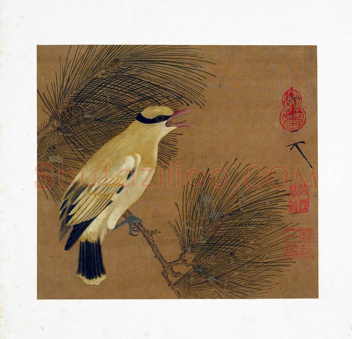 宋徽宗工笔画鸟《松枝黄鹂》
