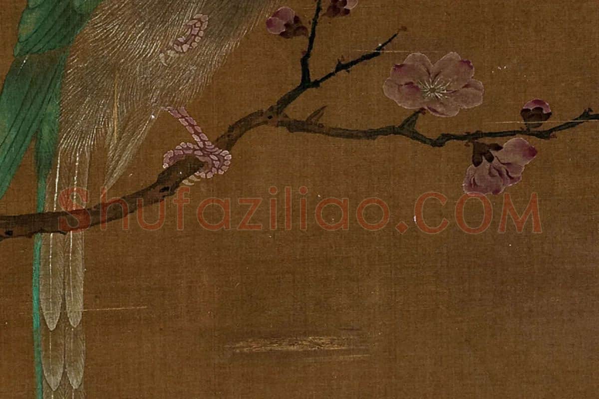 宋徽宗没骨花鸟画《杏花鹦鹉》局部 (2)