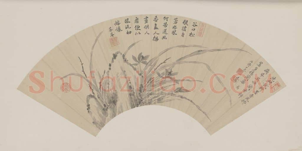 蒋廷锡兰石图扇页 | 故宫绘画藏品
